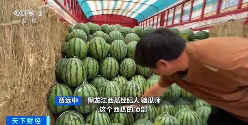 洗车店吃瓜,吃瓜群众见证的洗车风云